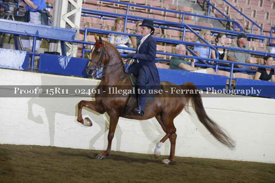 Proof 15R11_02461