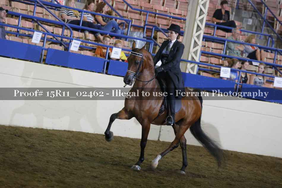 Proof 15R11_02462