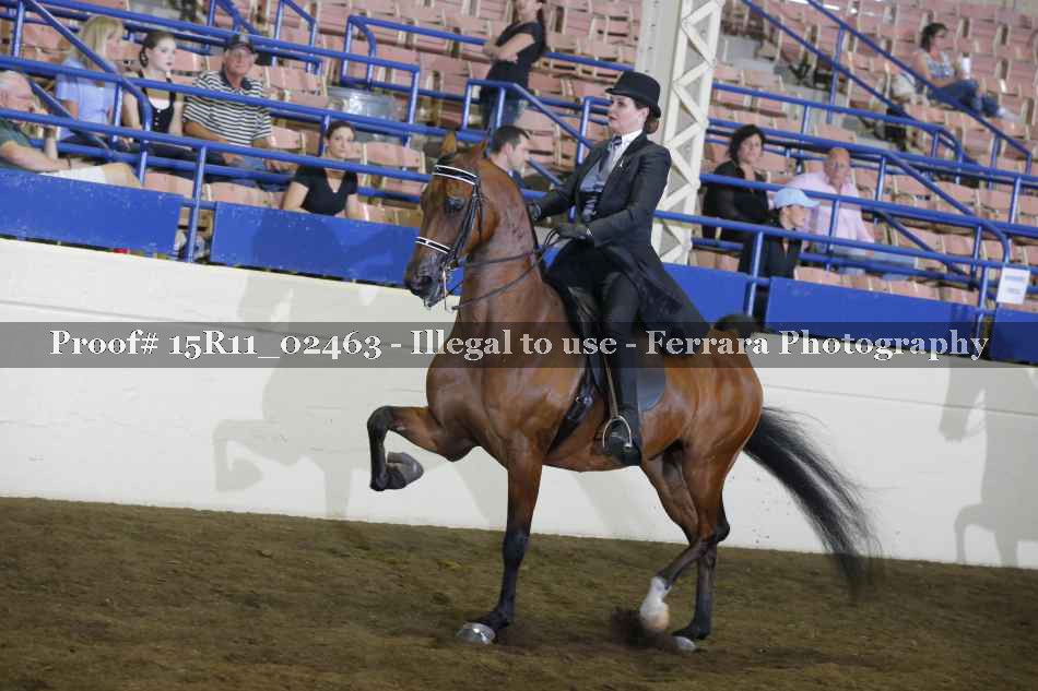 Proof 15R11_02463