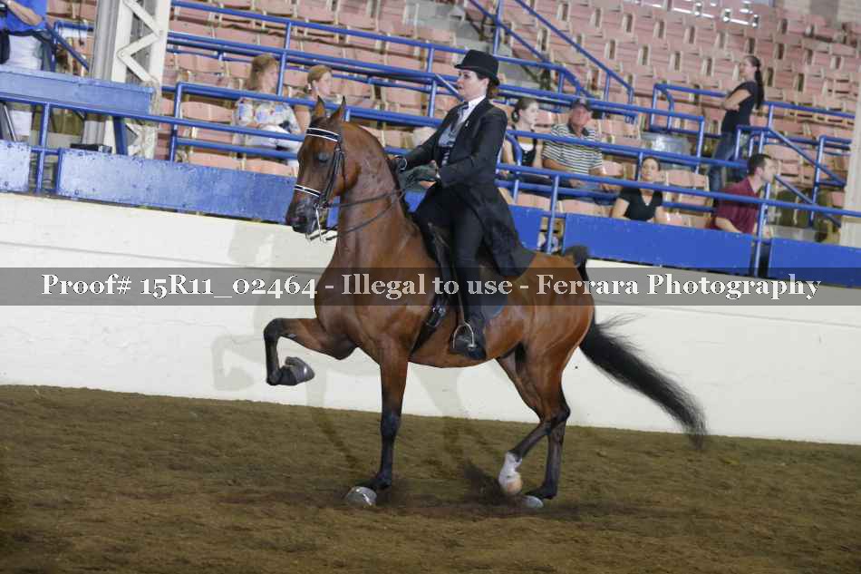 Proof 15R11_02464