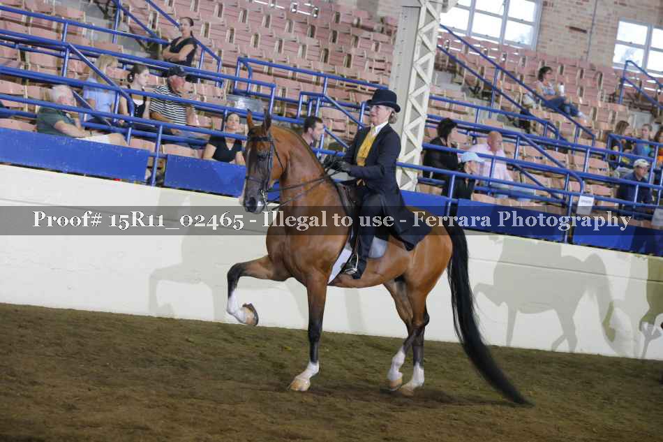 Proof 15R11_02465