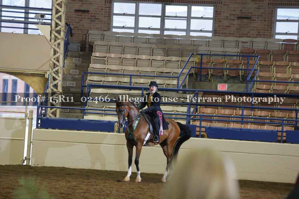 Proof 15R11_02466