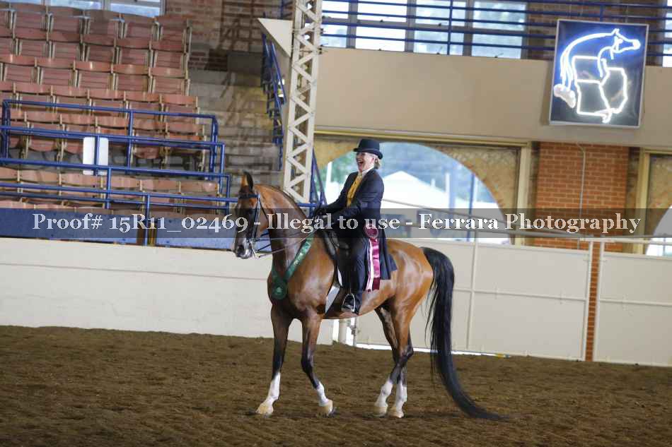 Proof 15R11_02469