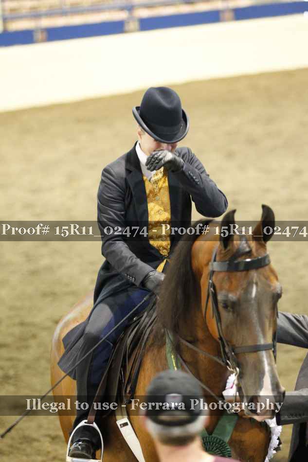 Proof 15R11_02474
