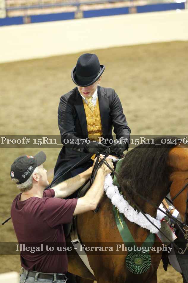 Proof 15R11_02476