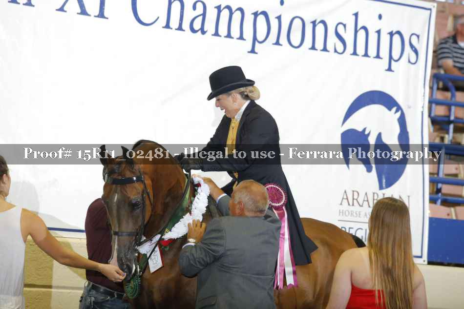 Proof 15R11_02481