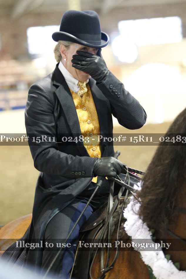 Proof 15R11_02483