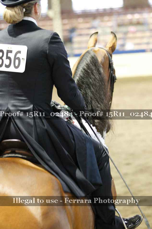 Proof 15R11_02484