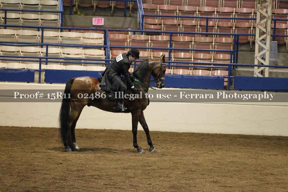Proof 15R11_02486