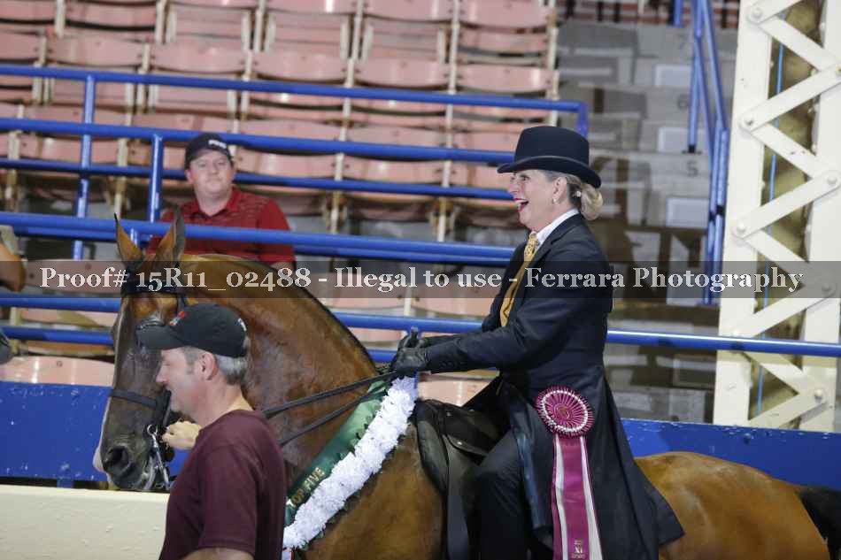 Proof 15R11_02488