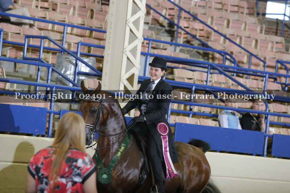 Proof 15R11_02491
