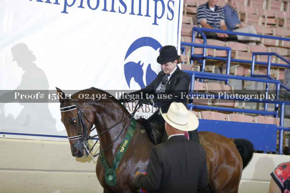 Proof 15R11_02492