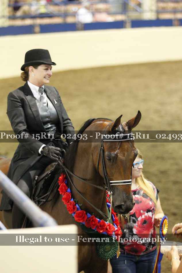 Proof 15R11_02493