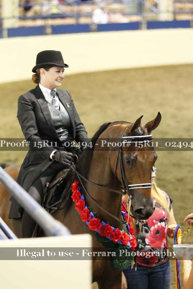 Proof 15R11_02494