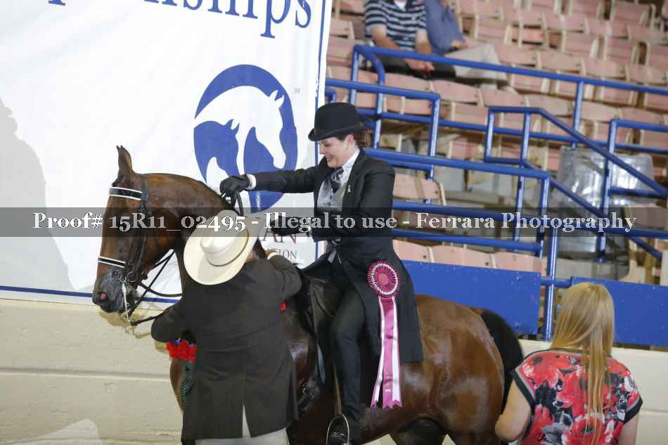 Proof 15R11_02495