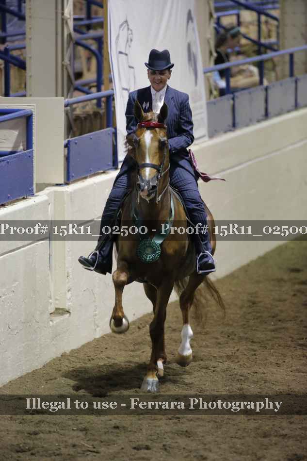 Proof 15R11_02500