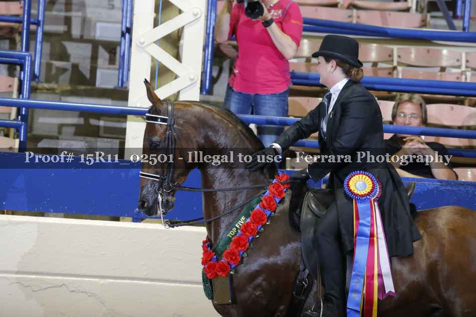 Proof 15R11_02501