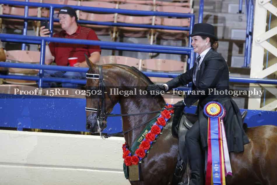 Proof 15R11_02502