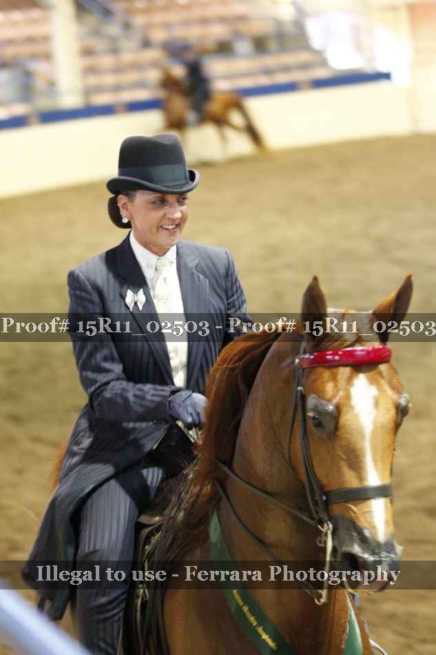Proof 15R11_02503