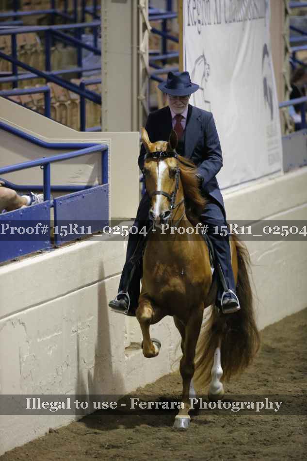 Proof 15R11_02504