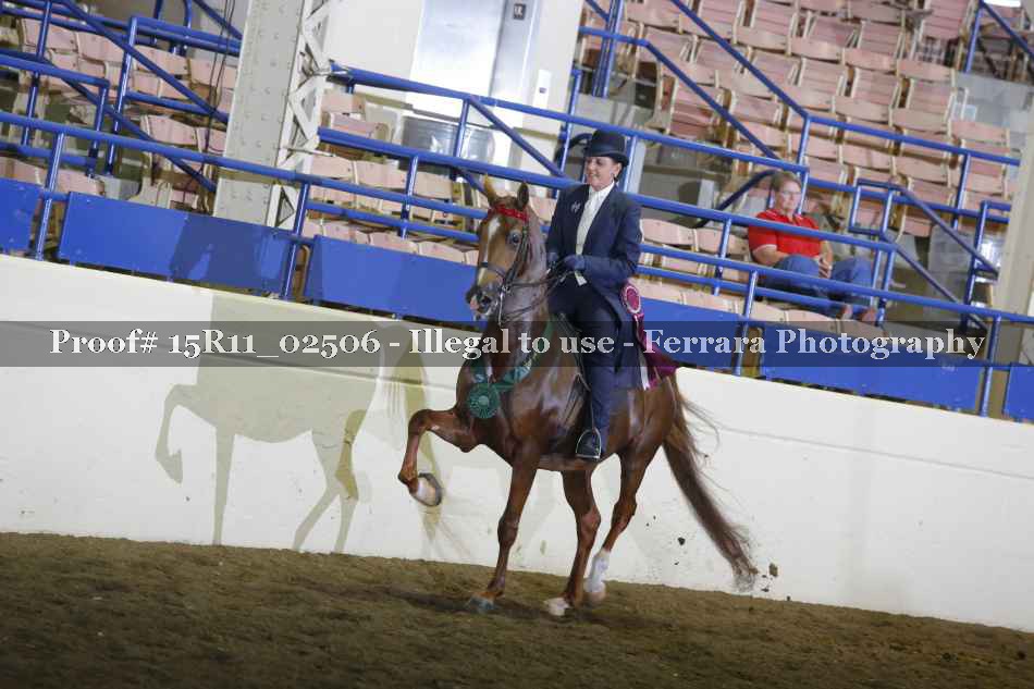 Proof 15R11_02506