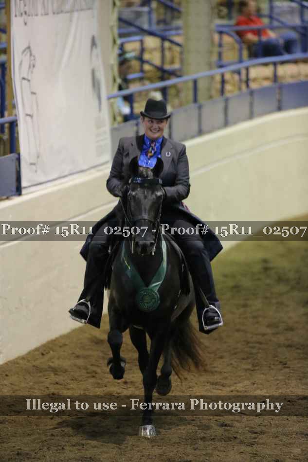 Proof 15R11_02507