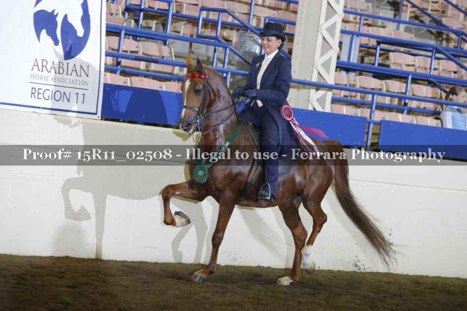 Proof 15R11_02508