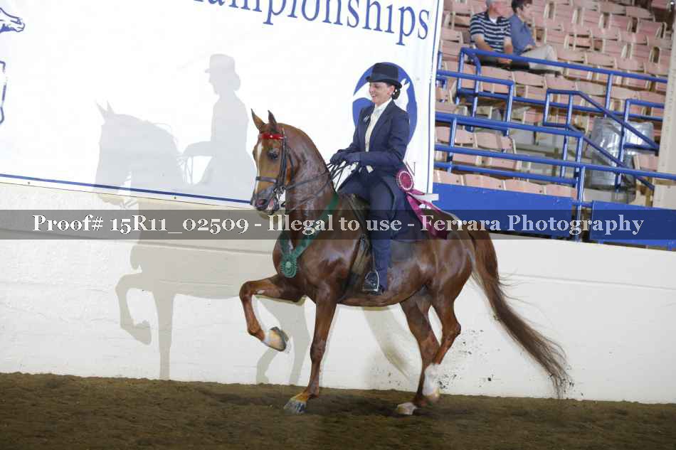 Proof 15R11_02509
