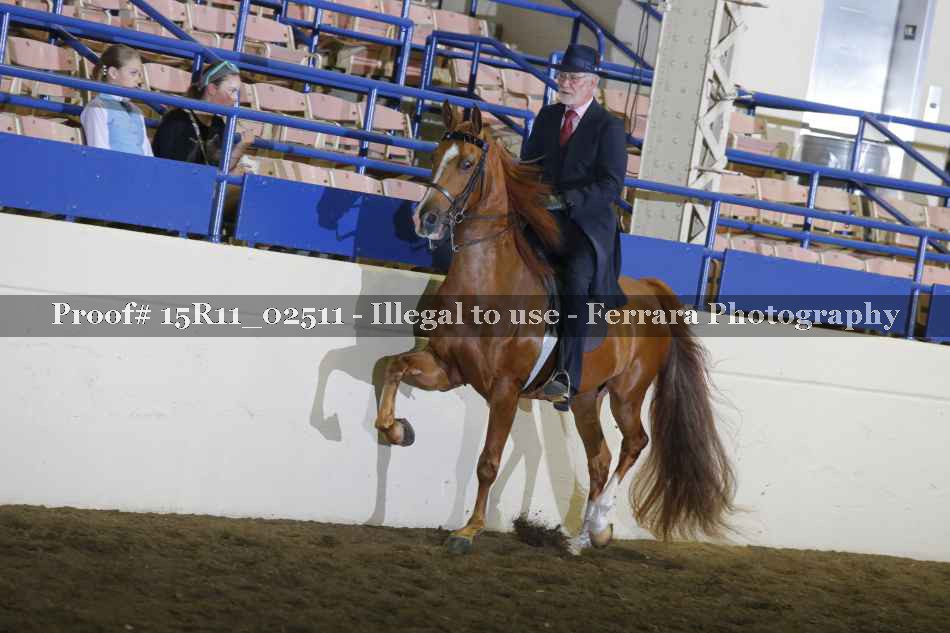 Proof 15R11_02511