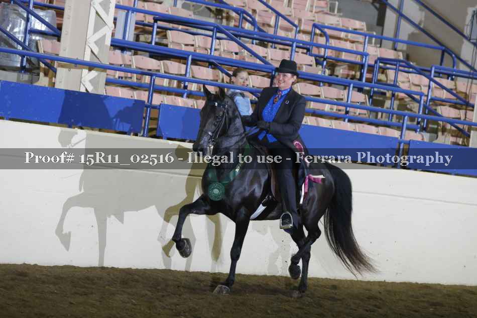 Proof 15R11_02516