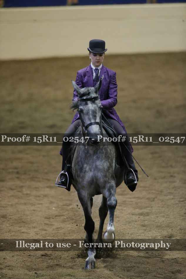 Proof 15R11_02547