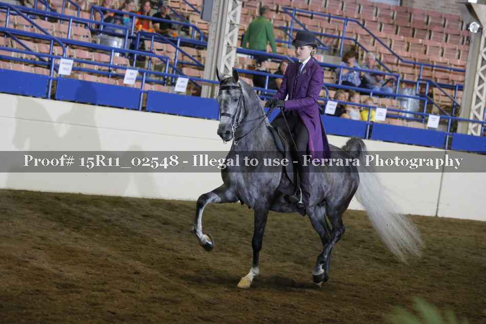 Proof 15R11_02548