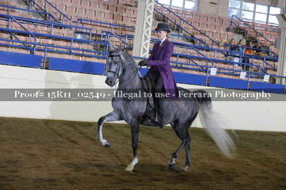 Proof 15R11_02549