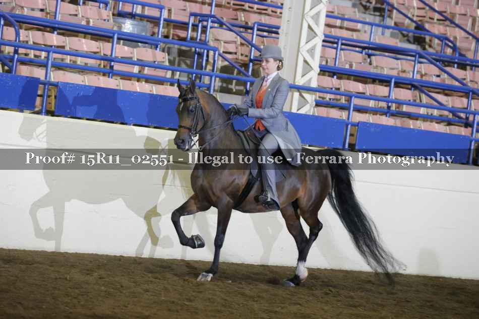 Proof 15R11_02551