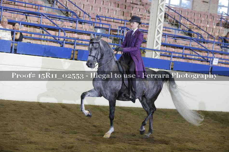 Proof 15R11_02553