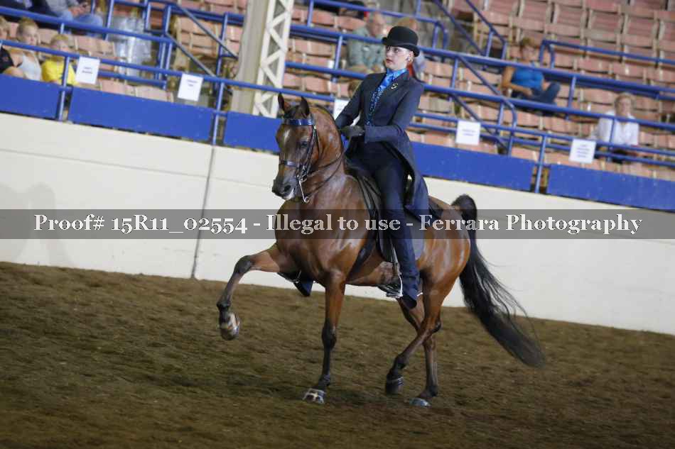 Proof 15R11_02554