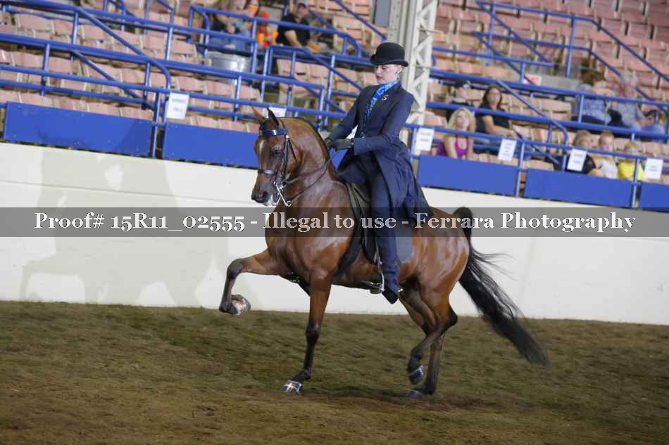 Proof 15R11_02555