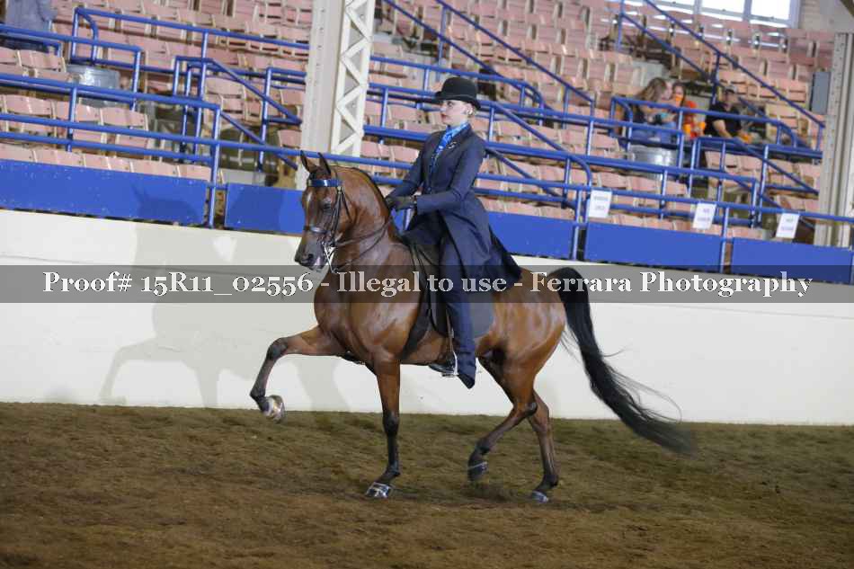 Proof 15R11_02556