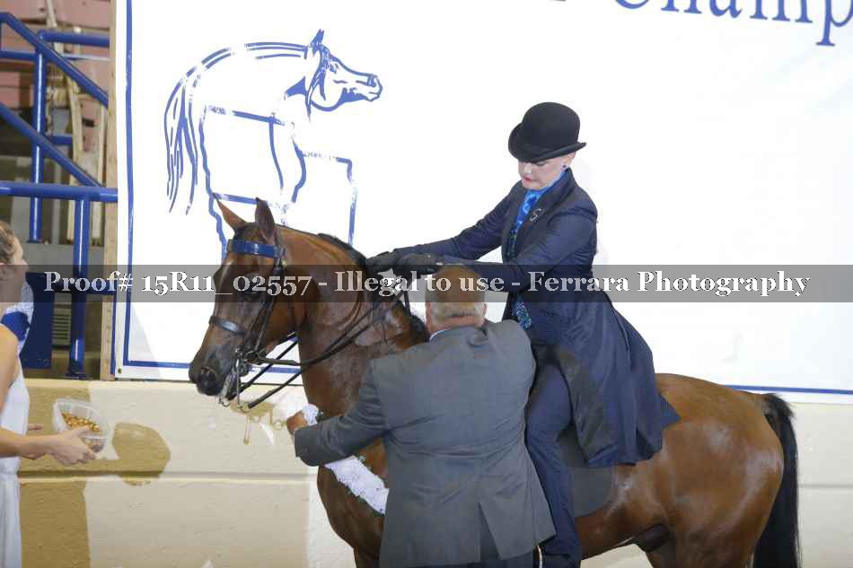 Proof 15R11_02557