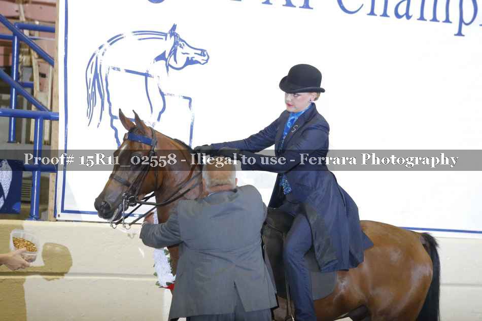 Proof 15R11_02558