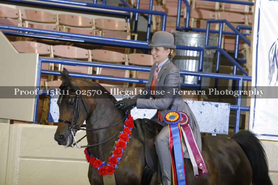 Proof 15R11_02570