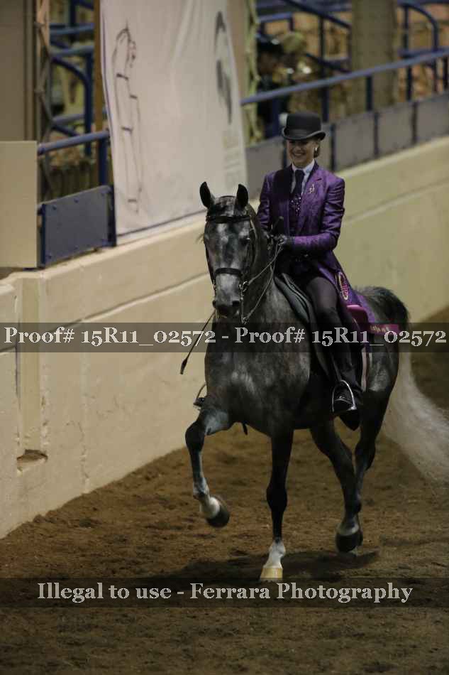 Proof 15R11_02572