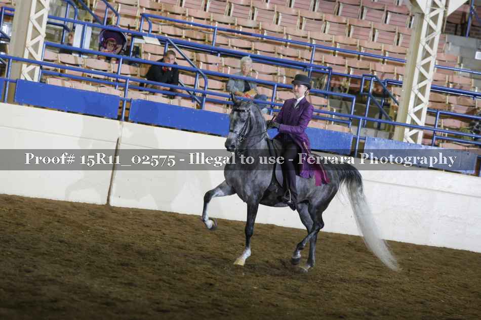 Proof 15R11_02575