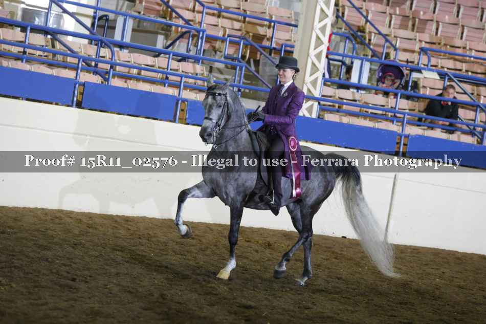 Proof 15R11_02576