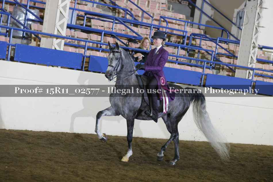 Proof 15R11_02577