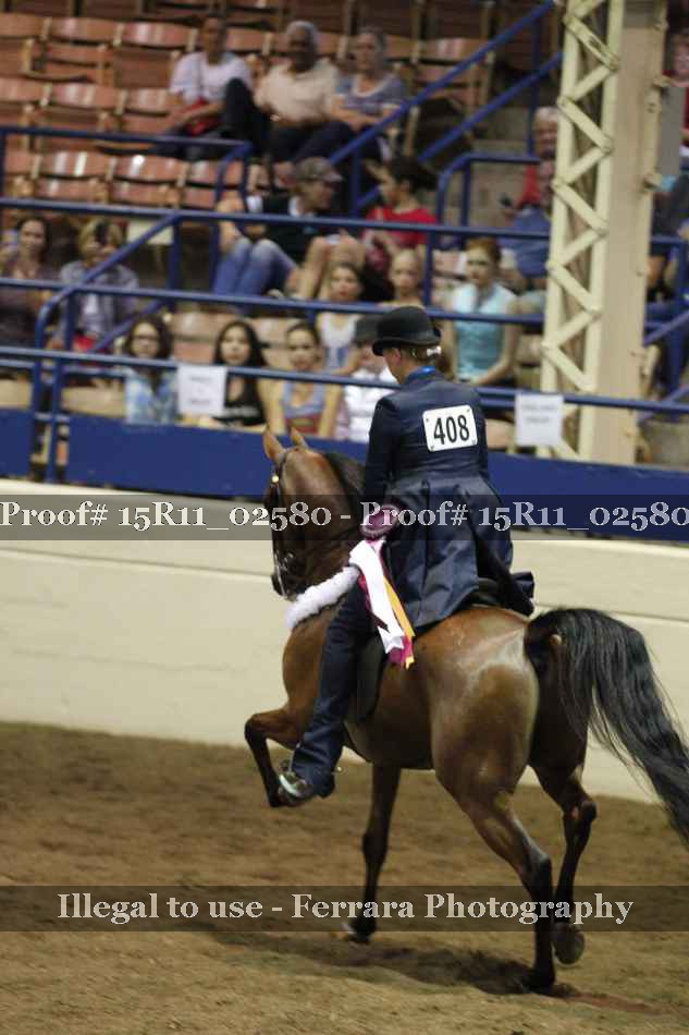 Proof 15R11_02580