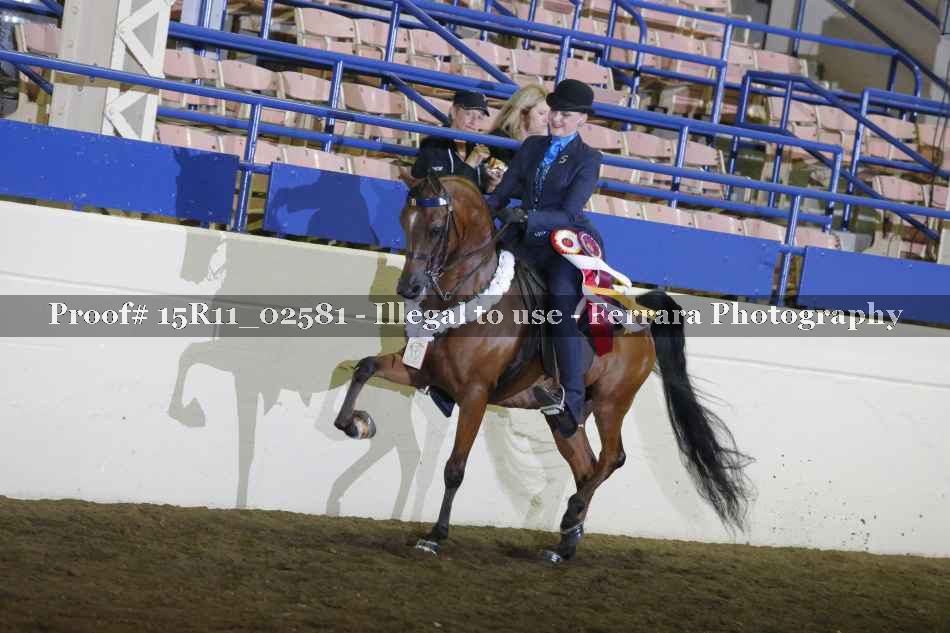 Proof 15R11_02581