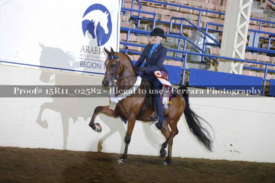 Proof 15R11_02582