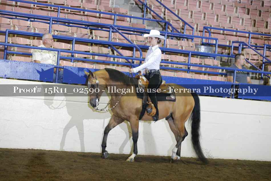 Proof 15R11_02590