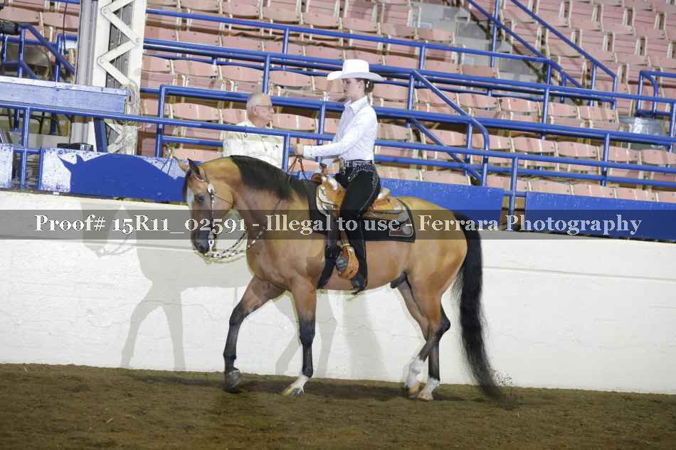 Proof 15R11_02591